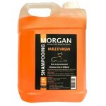  l'huile d'argan morgan 5 litres