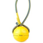 Mousse flottante jouet d'eau chien formation jouet � m�cher animal de compagnie r�sistant aux morsures ...