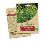 Graines bio - moutarde blanche - semence biologique Graines bio - moutarde blanche - semence biologique