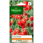 Sachet de graines tomate cerise vilmorin 0, 2gr