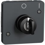 Schneider electric - mureva styl - interrupteur � cl� 2 positions - composable - ip55 - ik08 - gris - ...