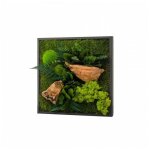 Naturalys - tableau vgtal canopee carr 35 x 35 cm