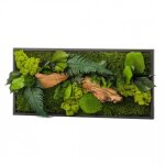 Tableau vgtal mural stabilis 57cm noir