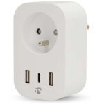 Prise intelligente smartlife wi - fi ip21 wattm�tre 3680 w france type e (cee 7 / 6) 1x usb - c 2x usb ...