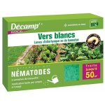 Nmatodes contre les otiorhynques 25 millions