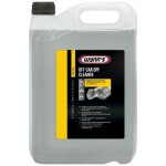 Nettoyant fap avec dmontage 5l wynn?s