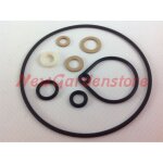 Kit joint carburateur fvca dell'orto motoculteur cultivateur rotatif a20034