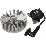 Kit de modification bobine d'allumage volant adaptable souffleur 260 kasei 330249