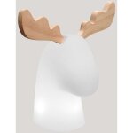 Rudy lampe renne. décoration de noël. câble avec lumière led chaude 3000k très résistante pour l'extérieur. ... Rudy lampe renne. décoration de noël. câble avec lumière led chaude 3000k très résistante pour l'extérieur. ...