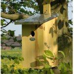 Nichoir pour m�sanges bleues