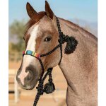 Noir et moutarde - licol en corde tress�e, complet avec 3m de longueur