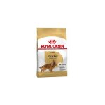 Nourriture que royal canin cocker adulte race cocker cocker spaniel, anglais ou amricain, adulte et mature ... Nourriture que royal canin cocker adulte race cocker cocker spaniel, anglais ou amricain, adulte et mature ...
