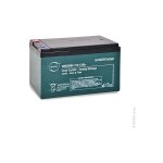 Nx - batterie lead crystal 6 - cnfj - 12 12v 12ah m5 - f