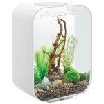 Oase - aquarium 15l led contours blanc life 15 led white