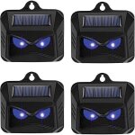 Odipie - jamais utilis�]r�pulsif solaire contre les animaux sauvages tels que les ratons laveurs, les ...