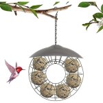 Oiseaux sauvages mangeoire � oiseaux boule de graisse mangeoires � oiseaux suspendues mangeoires � oiseaux ...