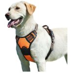 Orange, l, harnais chien, harnais anti traction pour chien r�fl�chissant r�glable, facile � mettre, avec ...