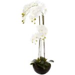 Atmosphera - orchid�e artificielle pot c�ramique h115cm cr�ateur d'int�rieur