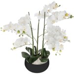 Atmosphera - orchid�e artificielle pot c�ramique noir h65cm cr�ateur d'int�rieur