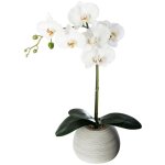 Orchid�e artificielle pot ciment h53cm atmosphera cr�ateur d'int�rieur
