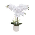 Orchid�e artificielle en pot 'riva' 60cm blanc