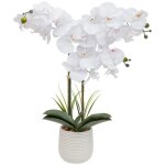 Orchid�e artificielle riva h60cm blanc atmosphera cr�ateur d'int�rieur