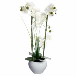 Silumen - orchide artificielle avec vase en cramique h53cm - noir