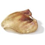 Oreille de porc camon