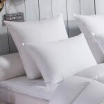 Oreiller 70% duvet d'oie moelleux - 40 / 60 - dodo
