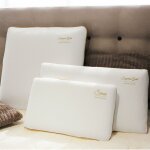 Oreiller collector : mousse � m�moire de forme, d�houssable - 50 x 30 cm
