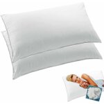 Oreiller coussin lit microfibre hypoallergénique anatomique appui - tête lavable - 2 pieces Oreiller coussin lit microfibre hypoallergénique anatomique appui - tête lavable - 2 pieces