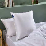 Oreiller duvet de canard enveloppe percale de coton - 50x70cm