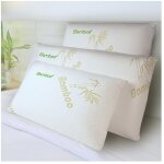 Sofareva - oreiller fresh bamboo 40x70cm memoire de forme (50 kg / m3) auto ventile maintien parfait ...