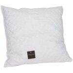 Oreiller m�moire de forme 60 x 60 cm jean louis sherrer - selene