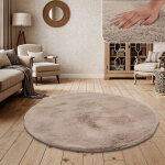 Paco home - tapis poils longs salon fausse fourrure tr�s douce uni en diff. coloris et tailles beige, ...