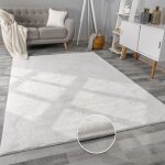 Tapis salon en fausse fourrure pelucheux hautes m�ches doux plusieurs couleurs 60x90 cm, blanc - paco ...