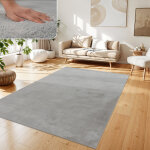 Paco home - tapis salon en fausse fourrure pelucheux hautes m�ches doux plusieurs couleurs gris, 240x340 ...