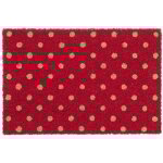 Paillasson, fibres coco, tapis rouge aux pois natures, antidérapant, 40x60 cm, intérieur et extérieur, ... Paillasson, fibres coco, tapis rouge aux pois natures, antidérapant, 40x60 cm, intérieur et extérieur, ...