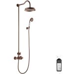 Paini france - colonne de douche thermostatique recoupable paini lady's auburn + nettoyant briochin Paini france - colonne de douche thermostatique recoupable paini lady's auburn + nettoyant briochin