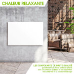 Panneau rayonnant mural 700w blanc 90x60x2, 5cm pour un climat trs agrable, ip44 anti - surchauffe, ...