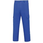 Pantalon en trylne bleu