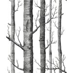 Papier peint 3d bouleau simple bois noir et blanc tissu non tiss� imitation bois papier peint tv graphique ...