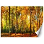 Papier peint for�t d'automne - 450 x 315 cm