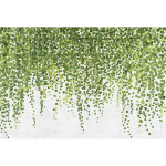 Papier peint panoramique vert et blanc tendance tapisserie panoramique nature peinture zen papier peint ... Papier peint panoramique vert et blanc tendance tapisserie panoramique nature peinture zen papier peint ...