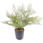 Pegane - plante artificielle haute gamme spécial extérieur / asparagus artificiel - hauteur : 50cm Pegane - plante artificielle haute gamme spécial extérieur / asparagus artificiel - hauteur : 50cm