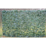 Pegane - plante artificielle haute gamme spécial extérieur / lierre artificiel - dim : 200 x 300 cm Pegane - plante artificielle haute gamme spécial extérieur / lierre artificiel - dim : 200 x 300 cm