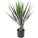 Pegane - plante artificielle haute gamme sp�cial ext�rieur / yucca artificiel - dim : 60 x 40 cm