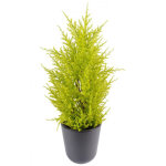 Pegane - plante artificielle / junip�rus artificiel vert / jaune - dim : 55 x 15 cm