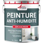 Arcane industries - peinture anti humidité pour mur humide en plâtre, béton, placo, cave et sous - sol, ... Arcane industries - peinture anti humidité pour mur humide en plâtre, béton, placo, cave et sous - sol, ...