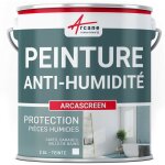 Arcane industries - peinture anti humidité pour mur humide en plâtre, béton, placo, cave et sous - sol, ... Arcane industries - peinture anti humidité pour mur humide en plâtre, béton, placo, cave et sous - sol, ...